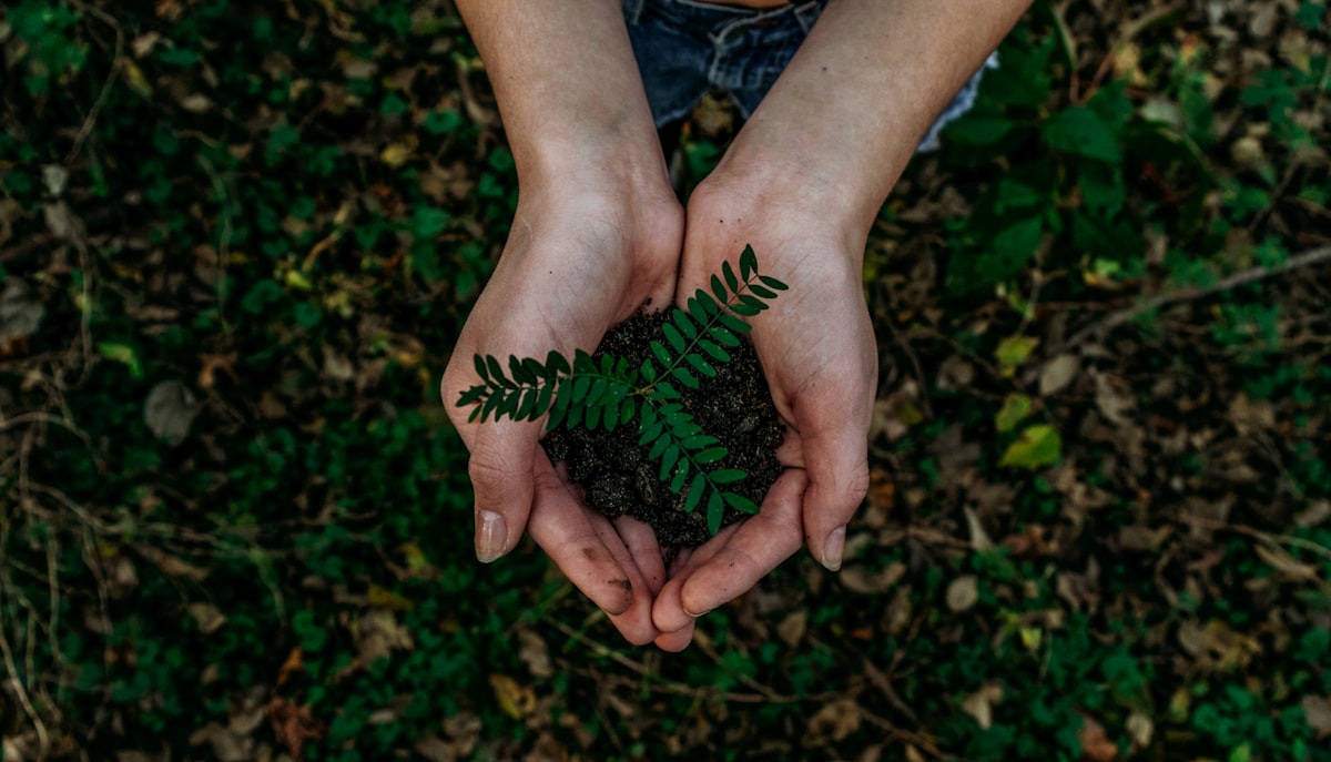 Global Greengrants Fund — Grassroots Grants