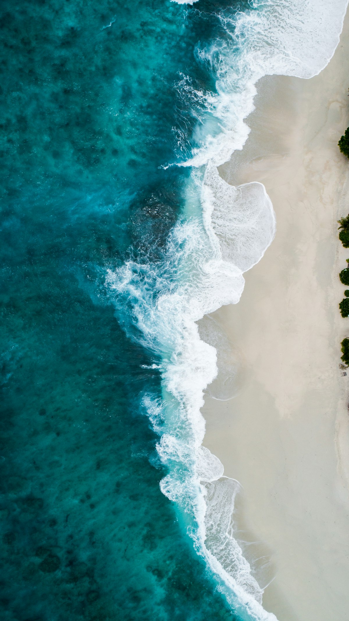 The Fight for the High Seas: Inside the Treaty and the Deep-Sea Mining Showdown